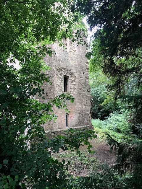 Beverston – STEPHEN TOMLIN